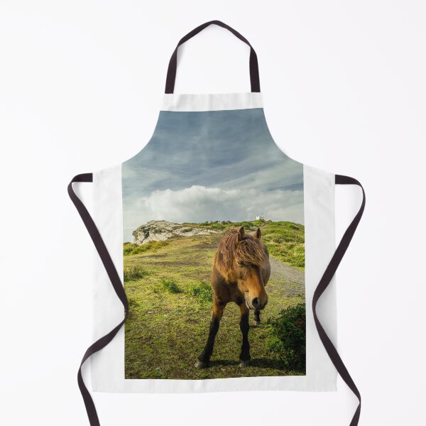 Item preview, A brown horse / pony standing on top of the cliffs near Boscastle in Cornwall designed and sold by MichaelBShannon.