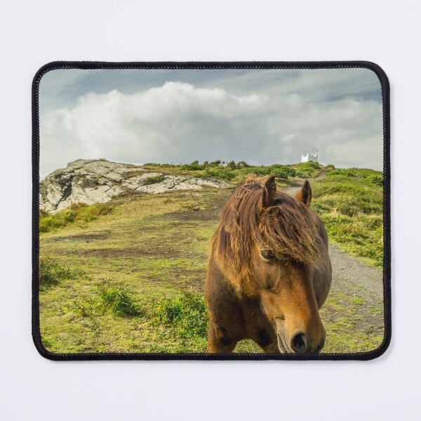 Item preview, A brown horse / pony standing on top of the cliffs near Boscastle in Cornwall designed and sold by MichaelBShannon.