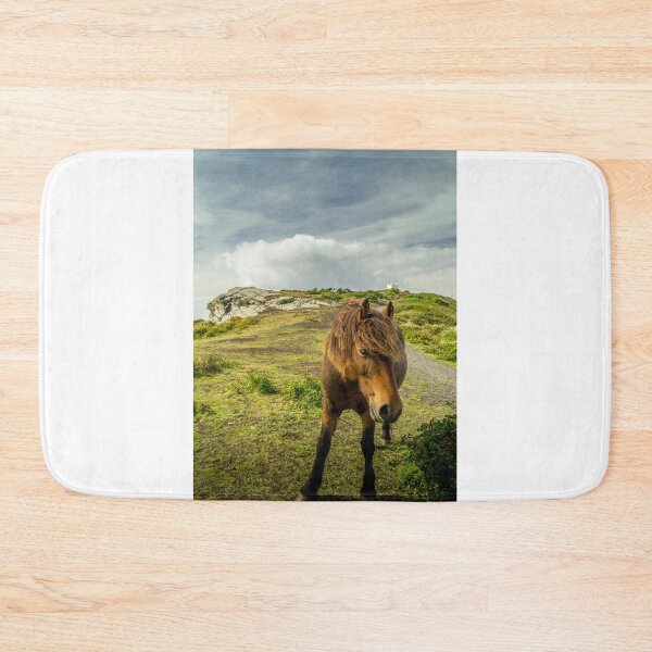 Item preview, A brown horse / pony standing on top of the cliffs near Boscastle in Cornwall designed and sold by MichaelBShannon.