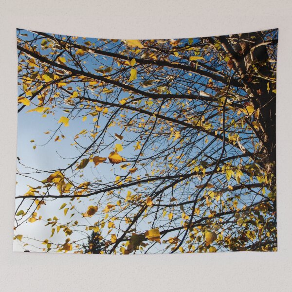Aperçu de l'œuvre Birch Tree photographie impression créée et vendue par griffingphoto.
