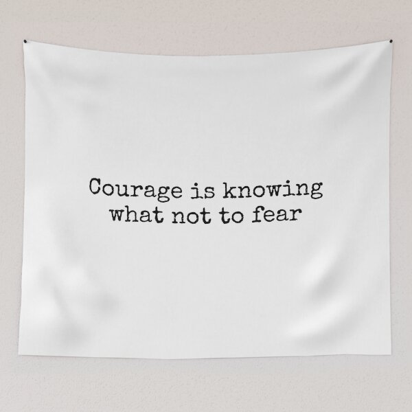 Item preview, Plato Quote designed and sold by The-Quote-House.