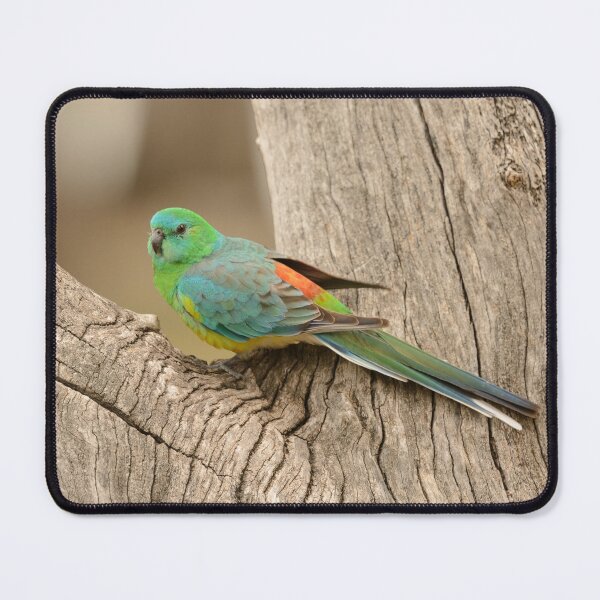 Item preview, Grass Parrot 01 designed and sold by Werner Padarin.