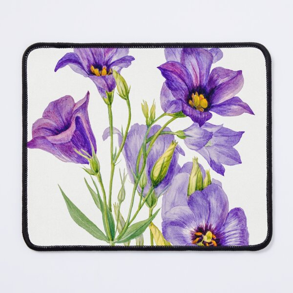 Item preview, Eustoma russelianum by Mary Vaux Walcott designed and sold by InHerits.
