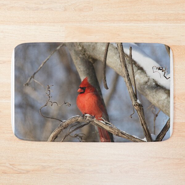 Item preview, Cardinal designed and sold by Brad Chambers.