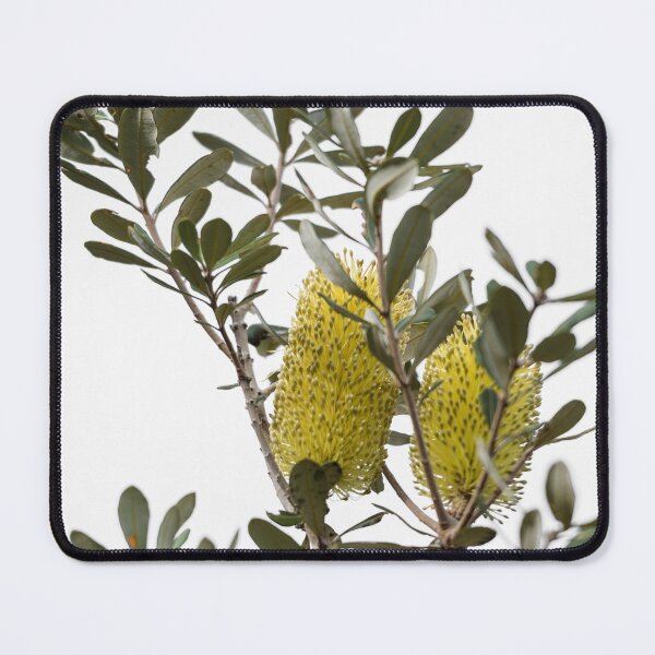 Item preview, Banksia SYD02 designed and sold by Werner Padarin.