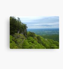Powell Valley from Pinnacle Overlook Canvas Print