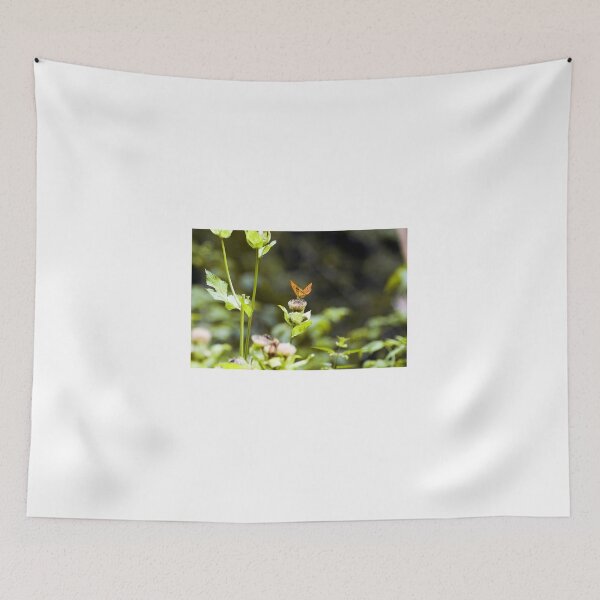 Item preview, Lightness - Austria designed and sold by paolo1955.