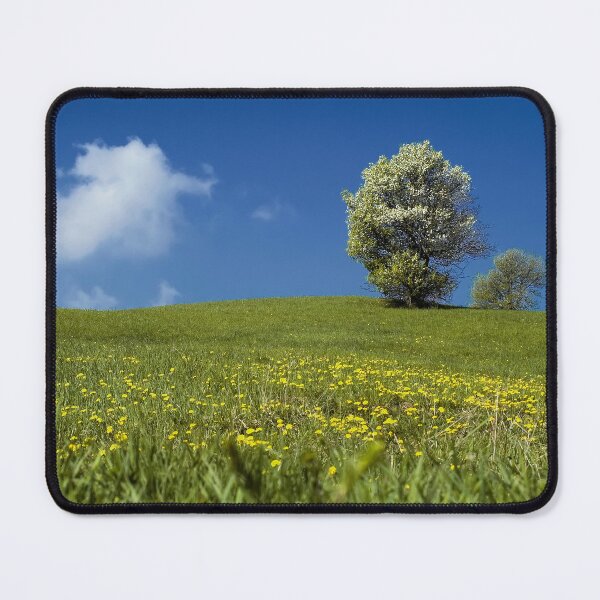 Item preview, Italian Spring designed and sold by paolo1955.