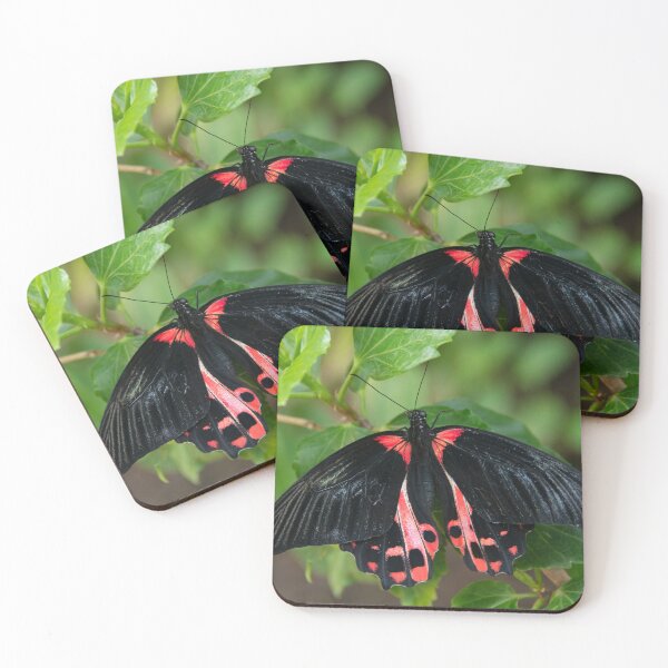 Item preview, Scarlet Mornon Butterfly  designed and sold by hawkie.