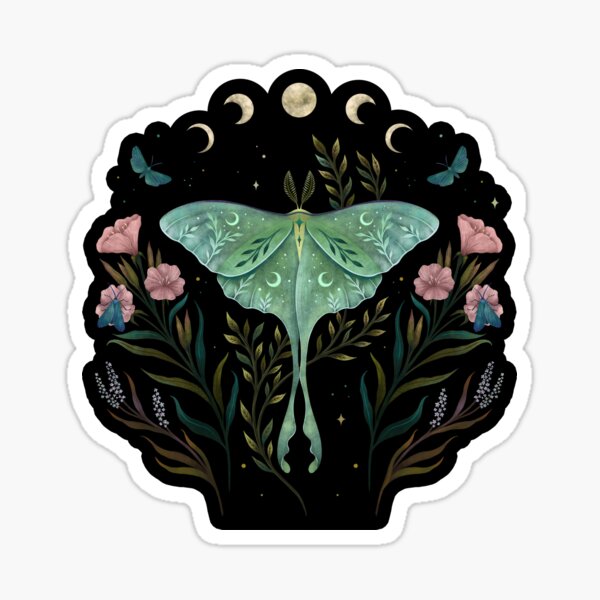 Luna Moth Sticker  ElissaMarieCreative