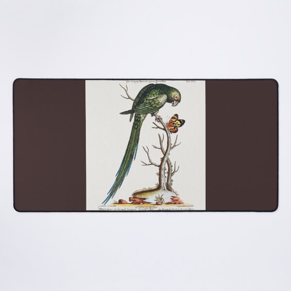 Item preview, Parakeet designed and sold by Inspieation.