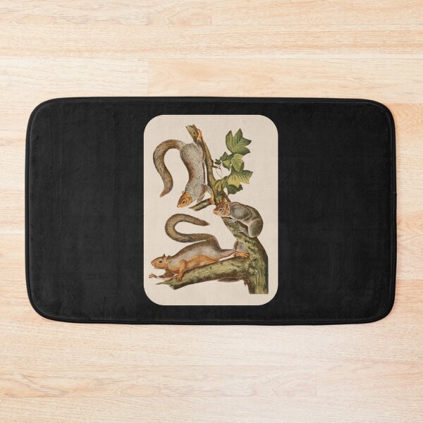 Item preview, vintage grey squirrel Sticker designed and sold by YunizReder.