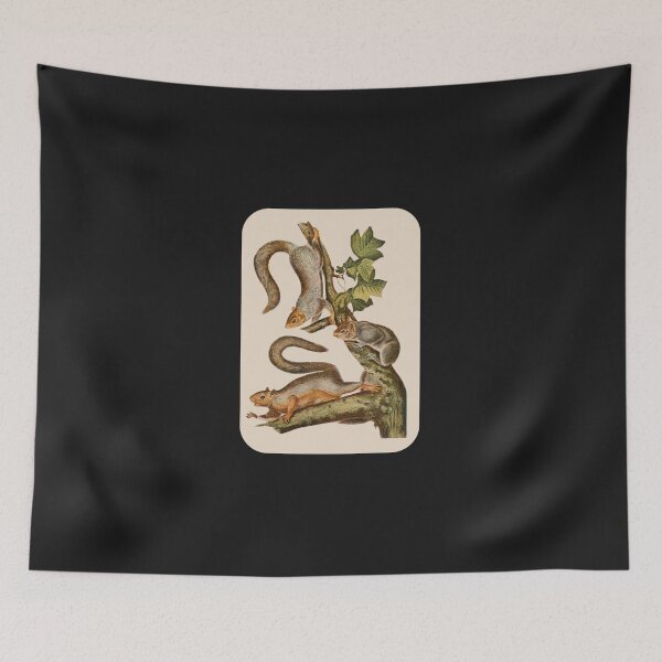 Item preview, vintage grey squirrel Sticker designed and sold by YunizReder.