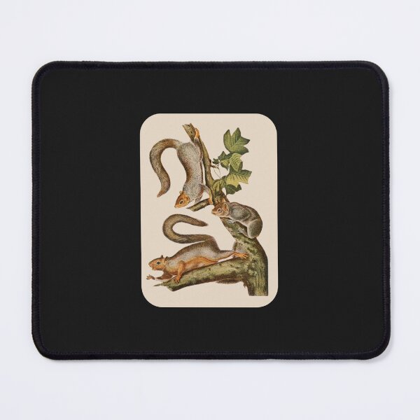 Item preview, vintage grey squirrel Sticker designed and sold by YunizReder.