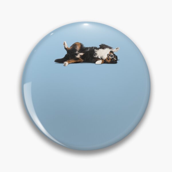 Item preview, Bernese Mountain Dog Lovers club Sticker Sticker designed and sold by AmirKovacevic.