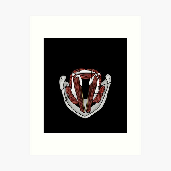Aperçu de l'œuvre Anatomie des cordes vocales Sticker créée et vendue par conni4sswr.