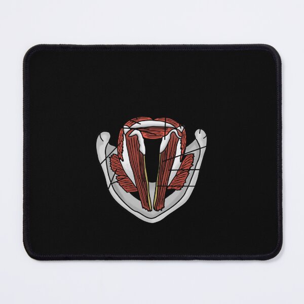 Item preview, Vocal Folds Anatomy Sticker designed and sold by conni4sswr.