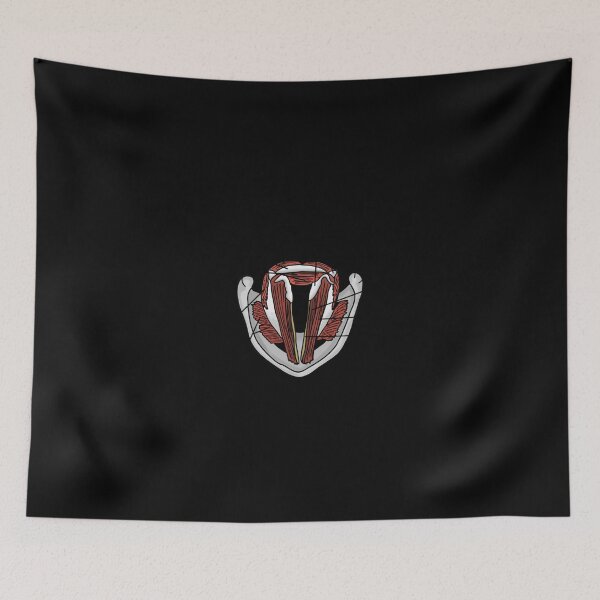 Item preview, Vocal Folds Anatomy Sticker designed and sold by conni4sswr.