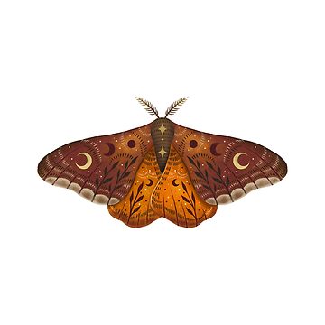 Artwork thumbnail, Emperor Moth by episodicDrawing