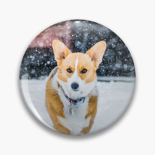Item preview, Cute Corgi enjoying in Snow ! designed and sold by sarkar7174.