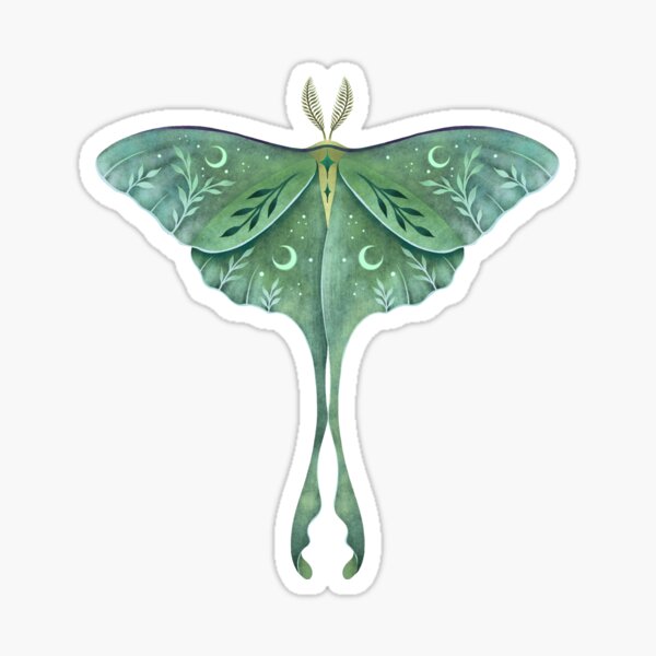 Top 45 Best Luna Moth Tattoo Ideas  2021 Inspiration Guide