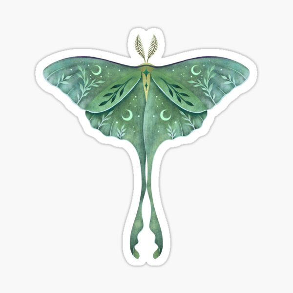 New Tattoo A Luna Moth