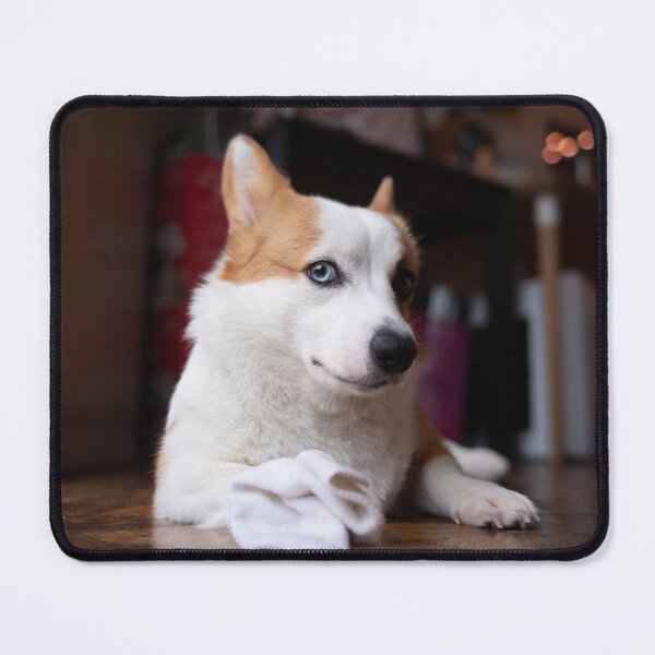 Item preview, Corgi Swag at home ! designed and sold by sarkar7174.