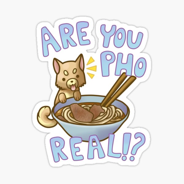 Are You Pho Real!? Sticker