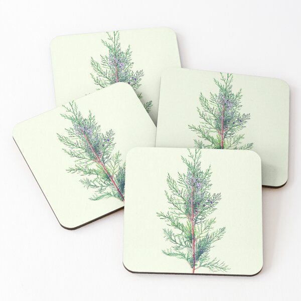 Item preview, juniper plant designed and sold by YouGotDesign.