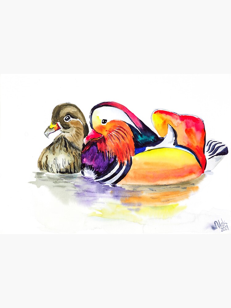 "Pair Of Mandarin Ducks Watercolor Painting" Sticker for Sale by NatalyMak Redbubble