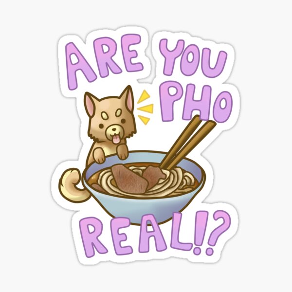 Are You Pho Real!? (Pink) Sticker