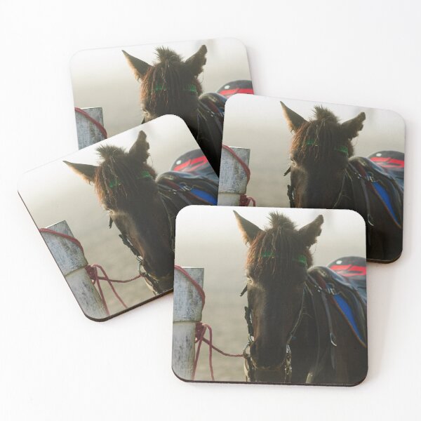 Item preview, horse waiting in fog designed and sold by FotoMahieu.