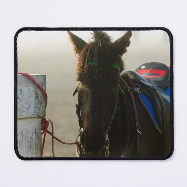 Item preview, horse waiting in fog designed and sold by FotoMahieu.