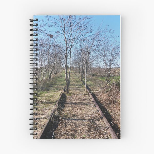 Item preview, Branch line. designed and sold by Paul Pasco.