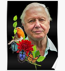 David Attenborough Poster