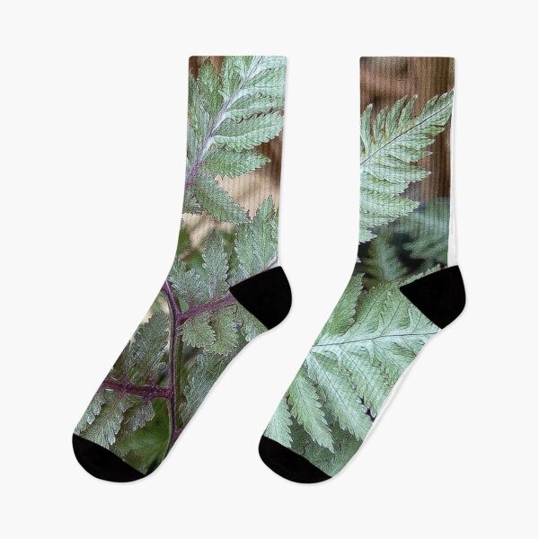 Item preview, Japanese fern.           by Lorraine (My Joy). designed and sold by Lorraine Lashley  - My Joy..