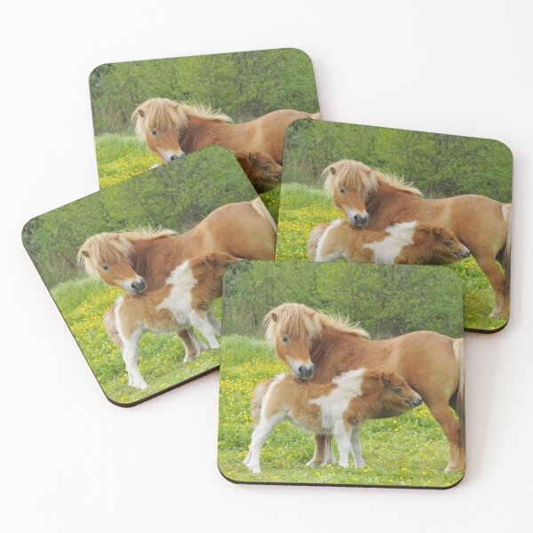 Item preview, Shetland Pony and Young designed and sold by ScienceSource.