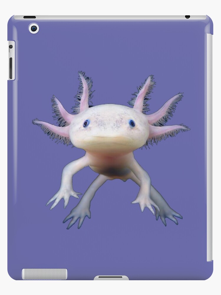 Blue Axolotl Animal - Funny and Cute Salamander Fish Design for Kids, Teens,  Boys, Men, Adults, Girls Throw Blanket for Sale by JoyTop