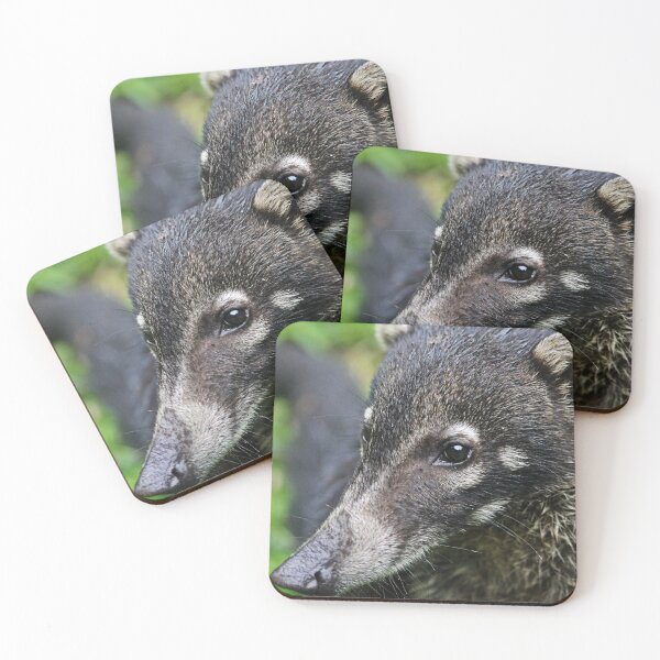 Item preview, Following my nose - white-nosed Coati  designed and sold by NaturePolarized.