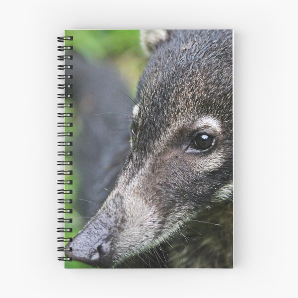 Item preview, Following my nose - white-nosed Coati  designed and sold by NaturePolarized.