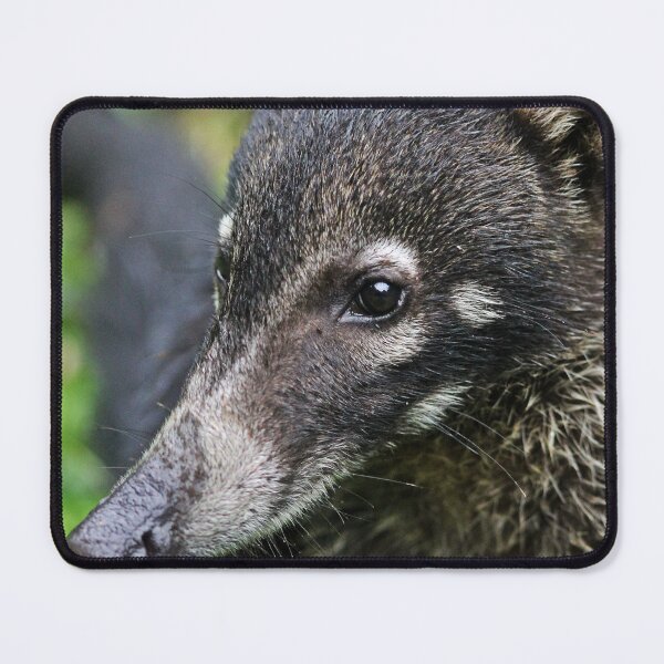 Item preview, Following my nose - white-nosed Coati designed and sold by NaturePolarized.