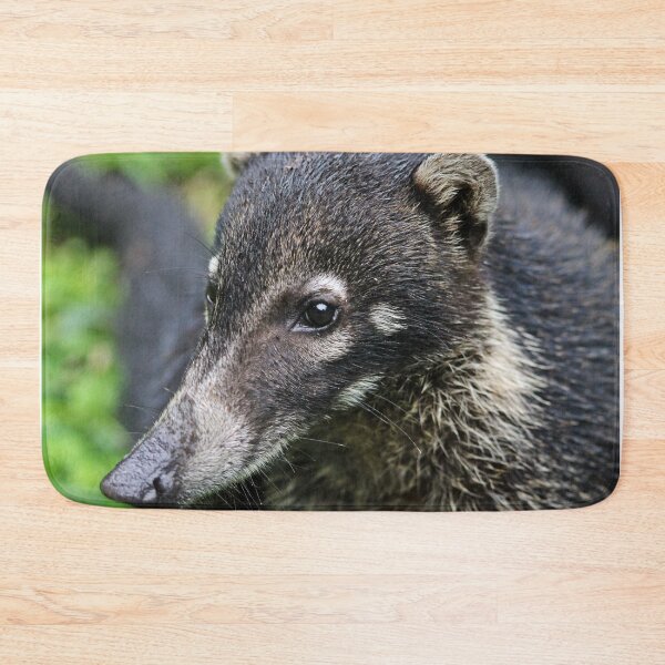 Item preview, Following my nose - white-nosed Coati designed and sold by NaturePolarized.