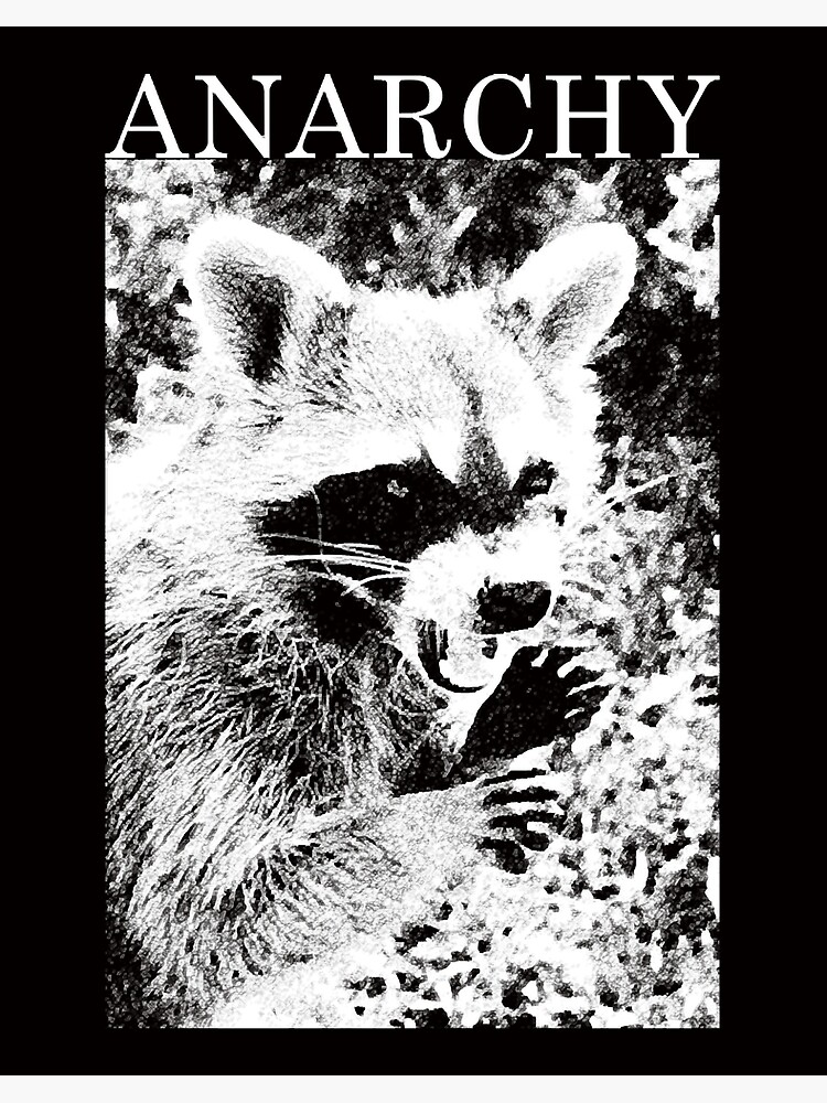 ANARCHY RACCOON - Anarchy Raccoon - Posters and Art Prints