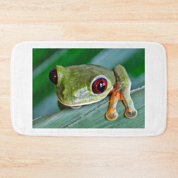 Item preview, Coucou - Red-Eyed Tree Frog designed and sold by NaturePolarized.