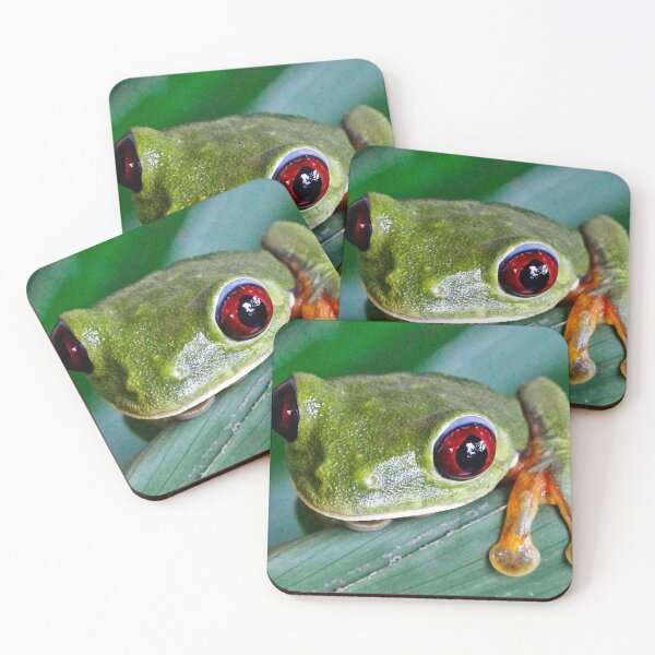 Artikelvorschau, Coucou - Rotäugiger Laubfrosch entworfen und verkauft von NaturePolarized.