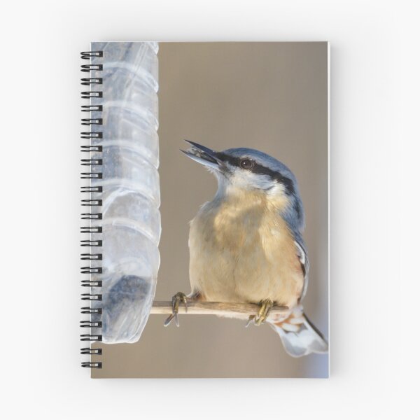 Item preview, Nuthatch bird or wood nuthatch (Sitta europaea) designed and sold by Olimpia Negura.