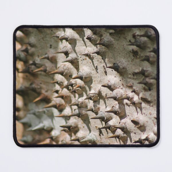 Item preview, Spiky Softness designed and sold by NaturePolarized.