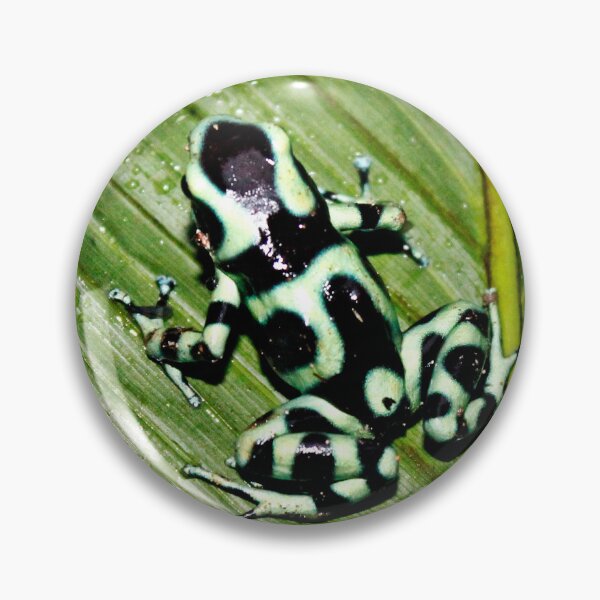 Item preview, Touch me and know me - Dart Frog (Dendrobates Auratus) designed and sold by NaturePolarized.