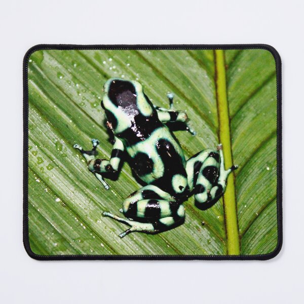 Item preview, Touch me and know me - Dart Frog (Dendrobates Auratus) designed and sold by NaturePolarized.