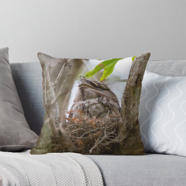 Item preview, Dads Snoozing designed and sold by byronbackyard.